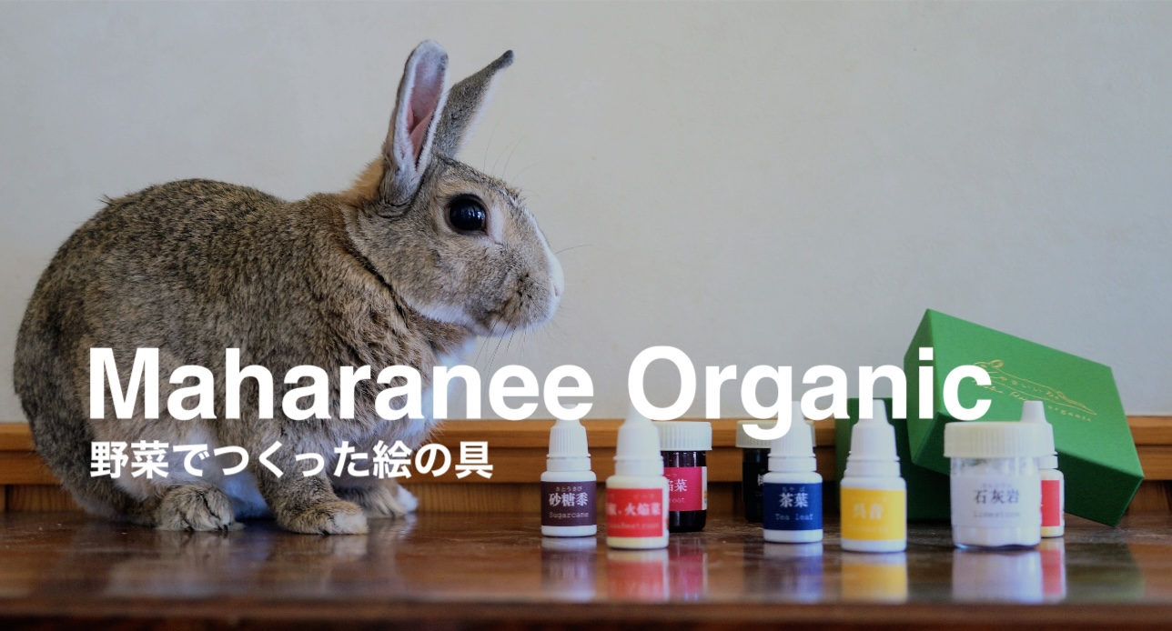 野菜の絵の具,やさいいろ,マハラニオーガニック,安全な絵の具