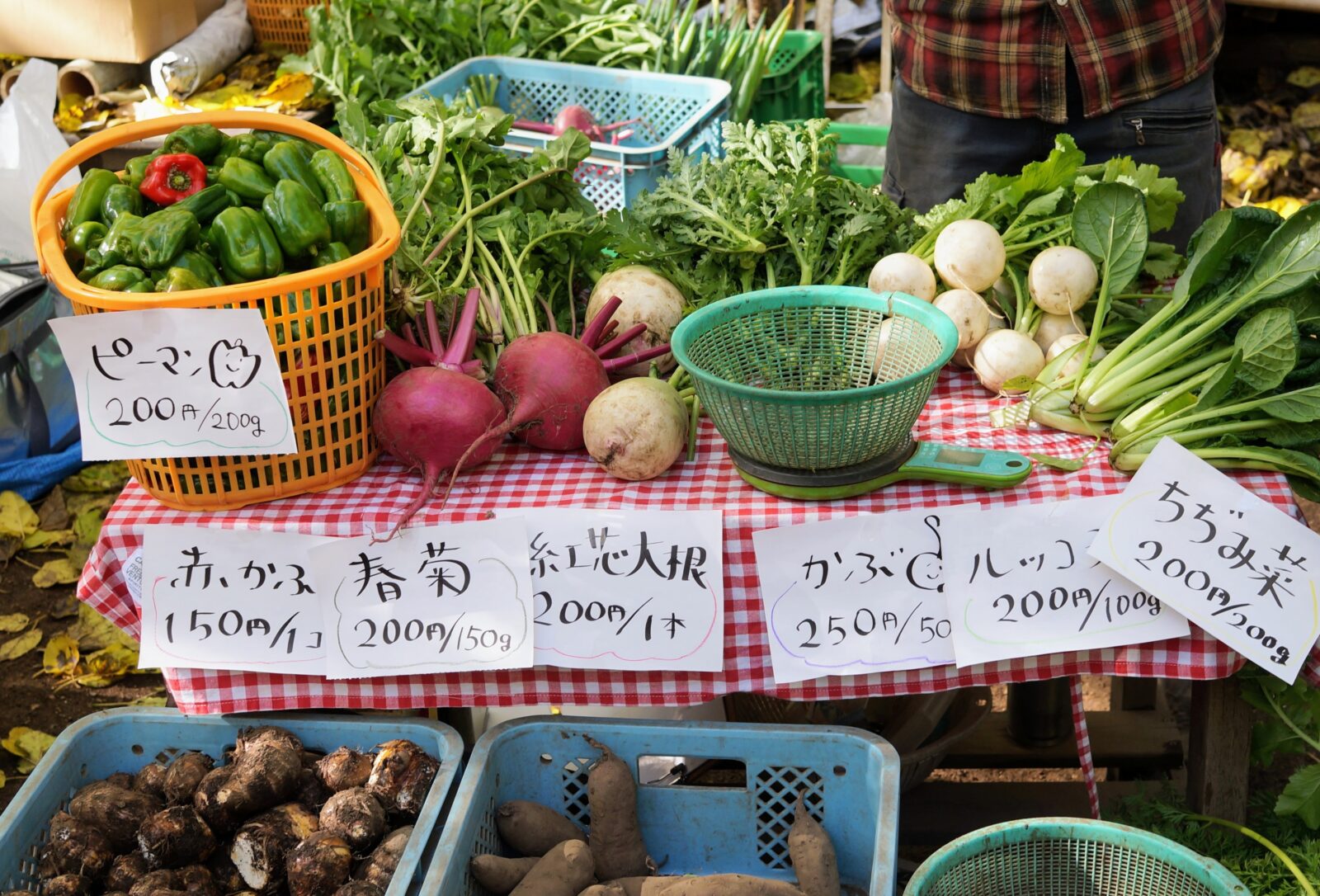 マルシェ,野菜,オーガニック野菜,マーケット