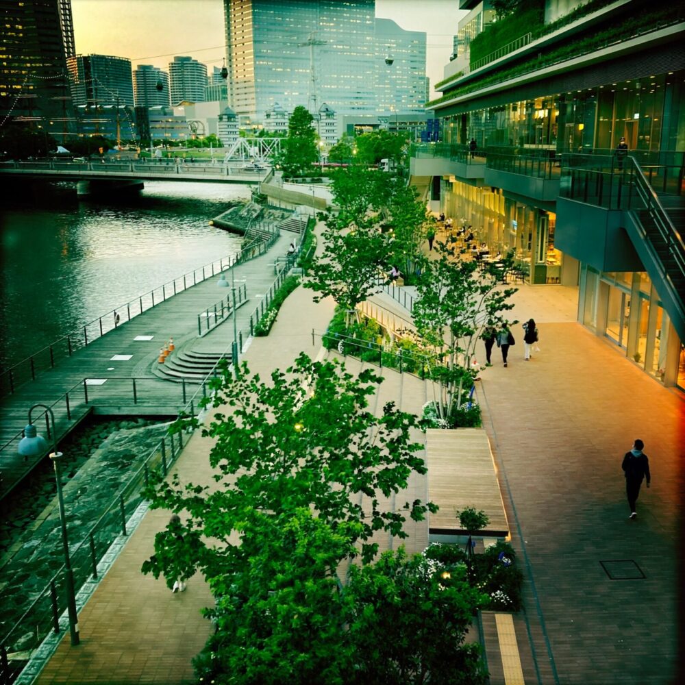 自然素材の家,横浜市役所