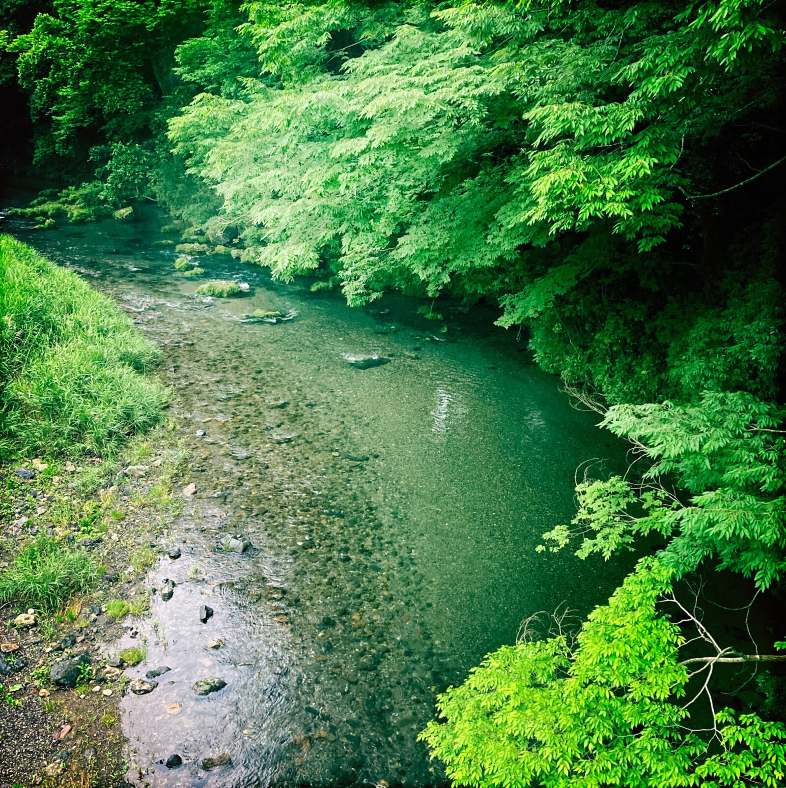 高麗川,川,river